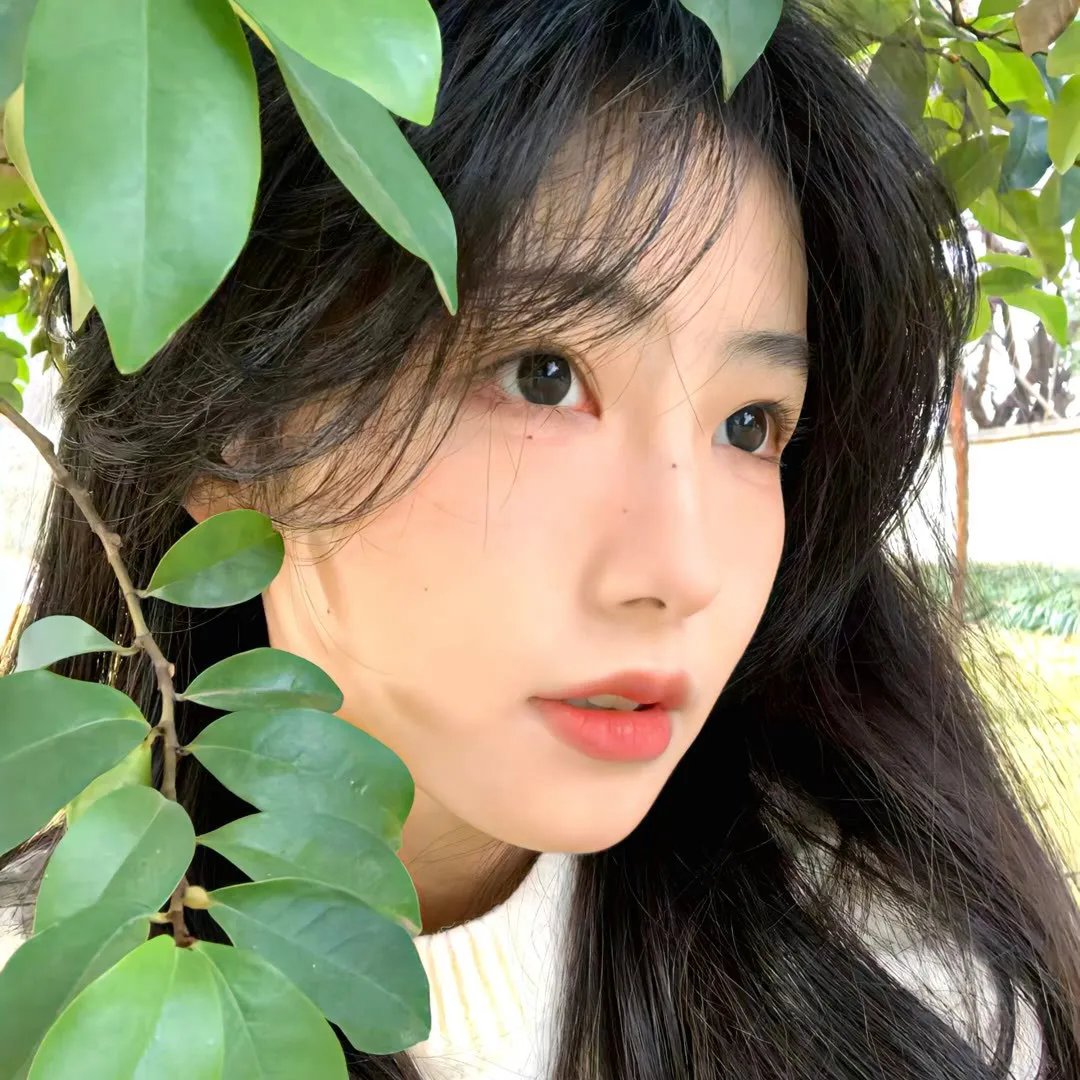 会说话的照片